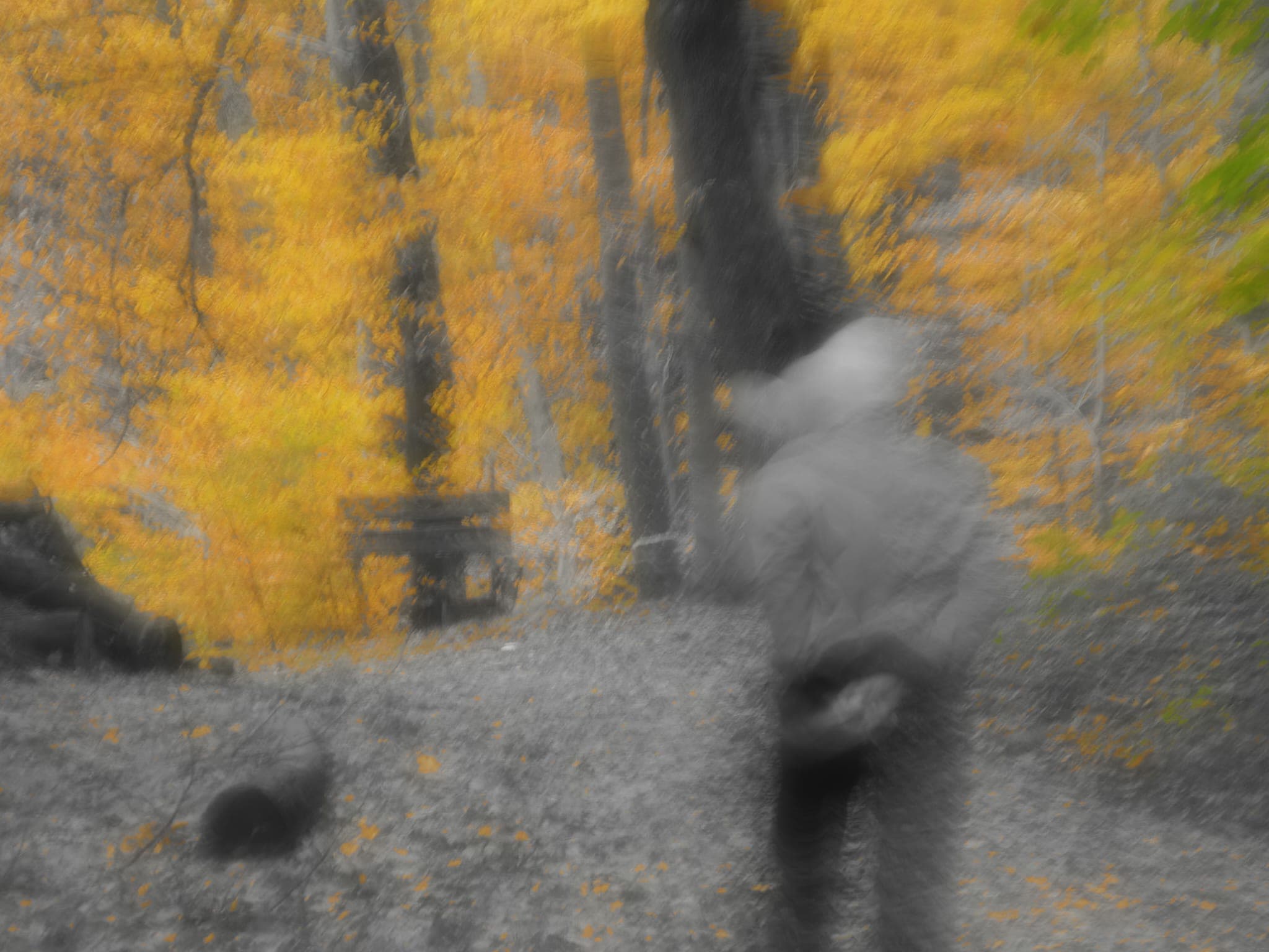Fotoimpressionen